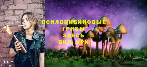 MDMA Горнозаводск